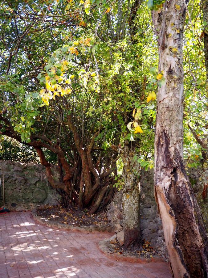 La Casa De Los Abuelos Valentin Pinilla del Valle 外观 照片